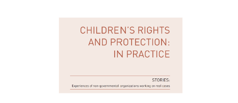 Stories: Experiences of Non-Governmental Organizations Working on Real Cases